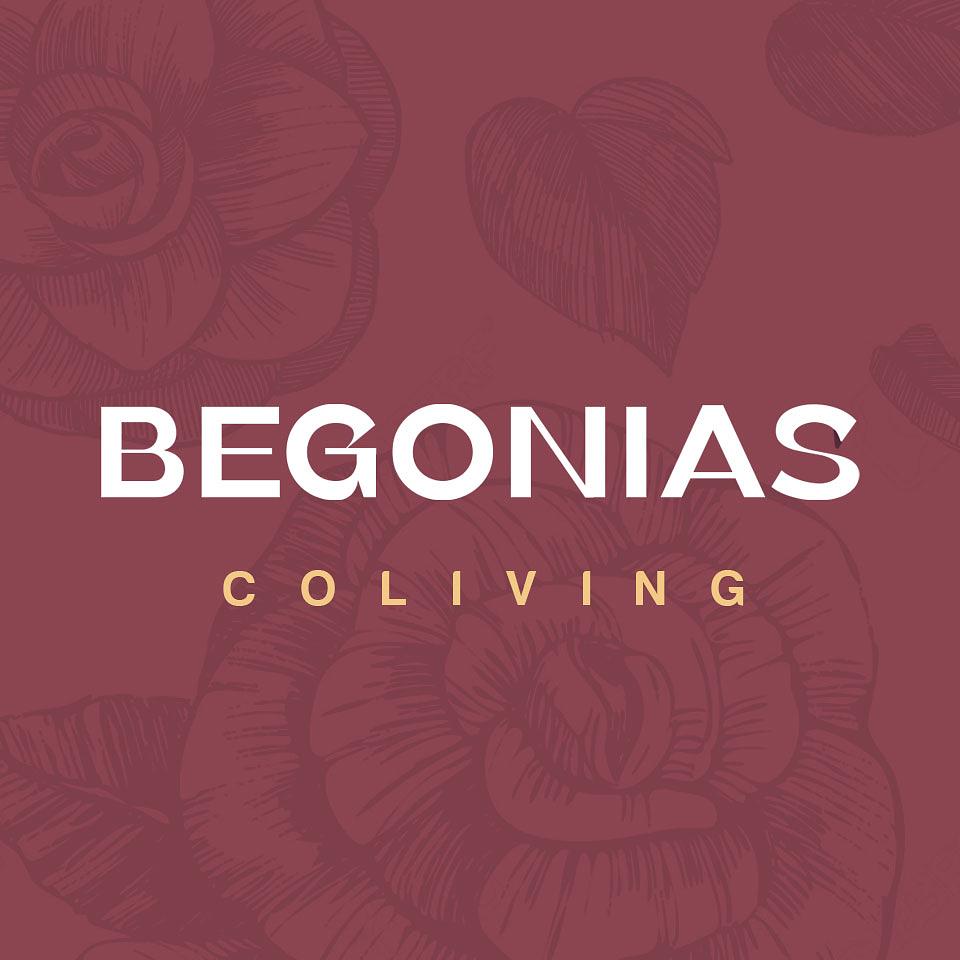 Begonias Coliving - Campaña 1 (imagen 16 de 16) | briq.mx