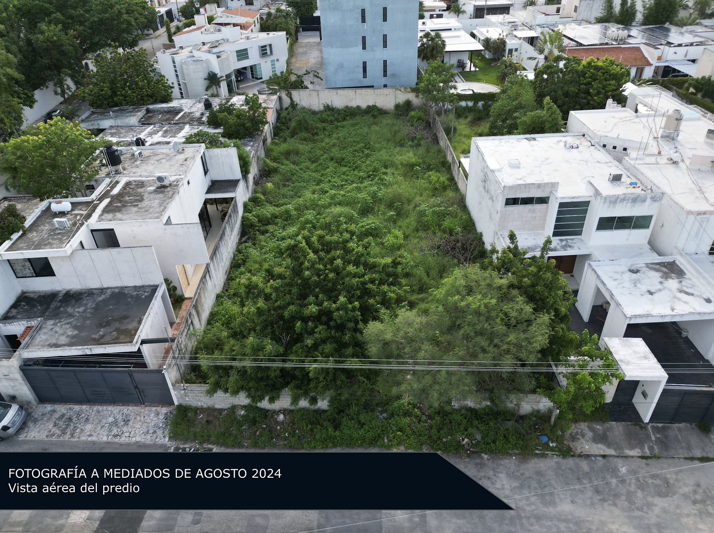 Montangelo - Campaña 1 (imagen 6 de 17) | briq.mx
