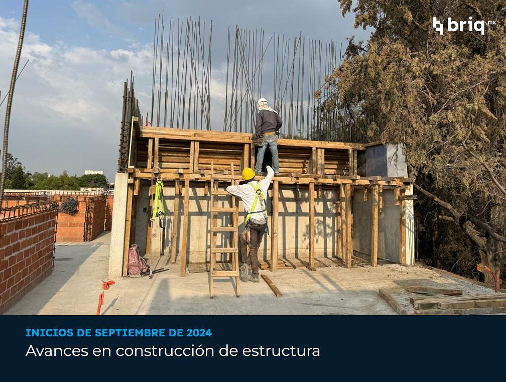 Nogal - Campaña 1 (imagen 4 de 11) | briq.mx