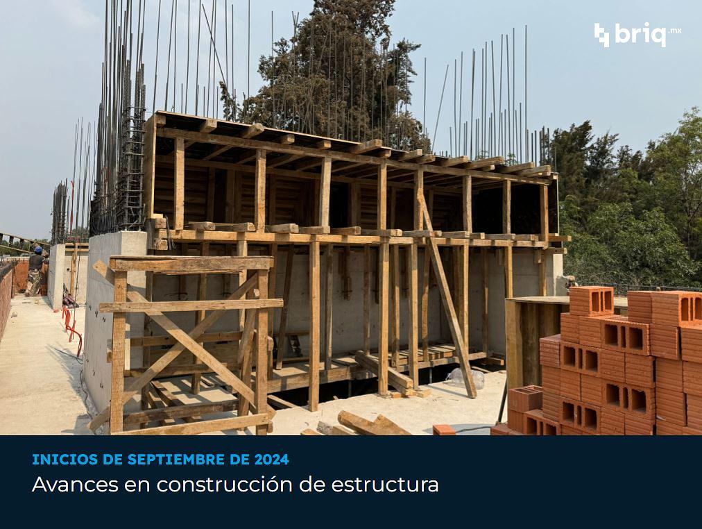 Nogal - Campaña 1 (imagen 3 de 11) | briq.mx