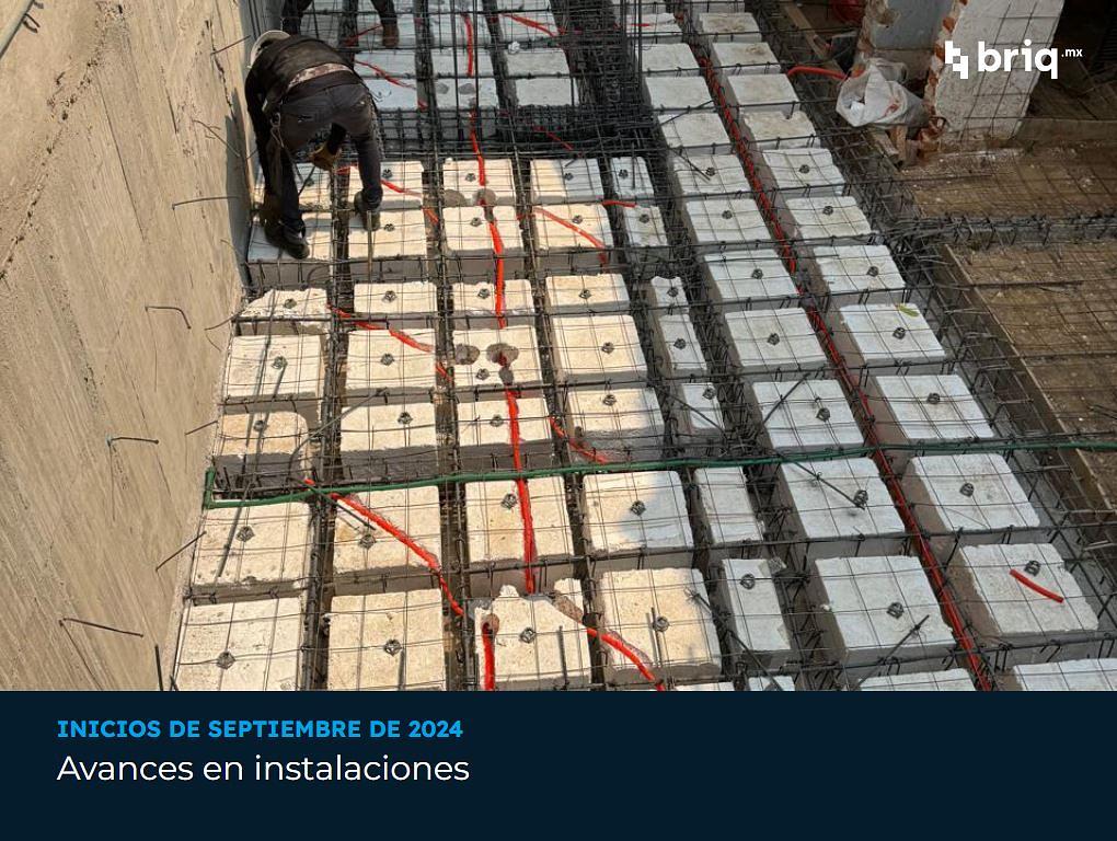 Nogal - Campaña 1 (imagen 6 de 11) | briq.mx
