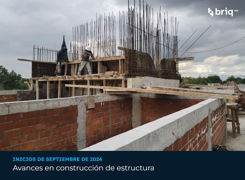 Nogal - Campaña 1 (imagen 5 de 11) | briq.mx