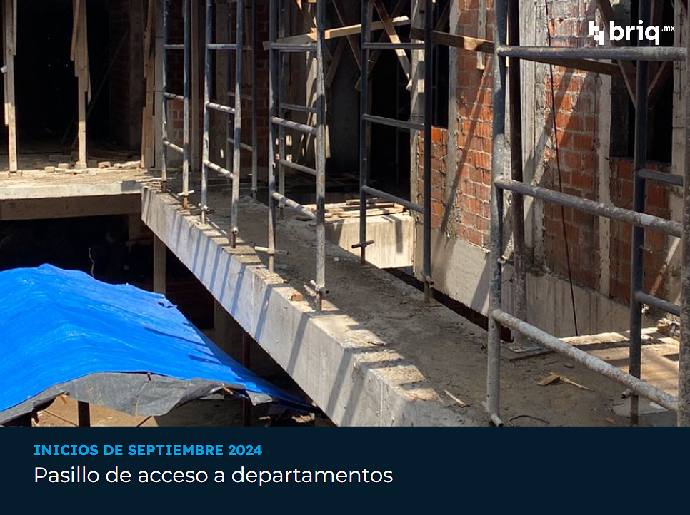 Amado Nervo - Campaña 5 (imagen 6 de 14) | briq.mx