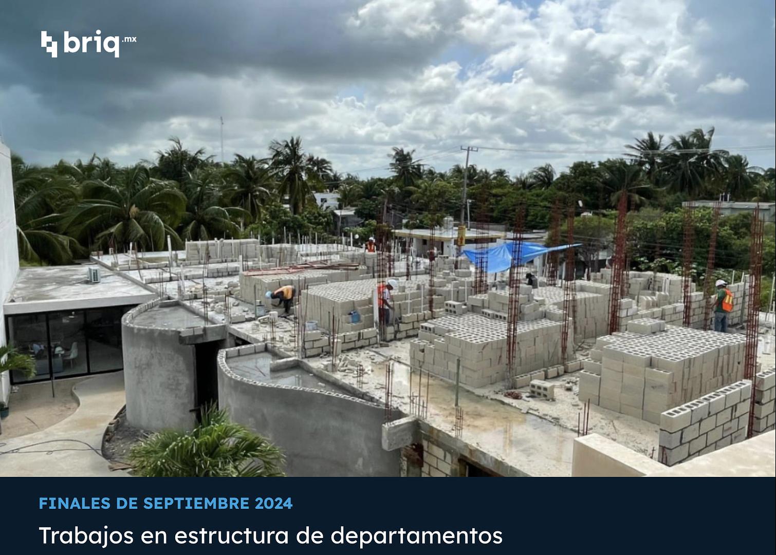 Telchac Amaité - Campaña 6 (imagen 7 de 14) | briq.mx