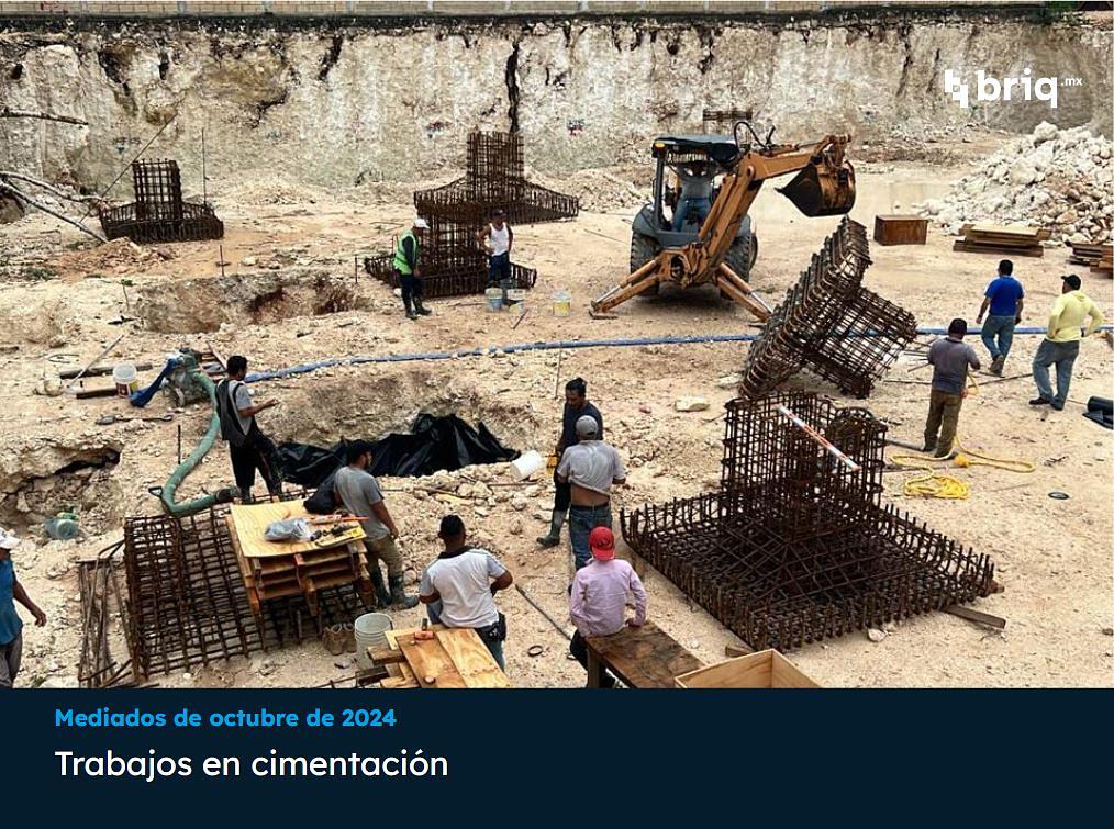 Árvore - Campaña 1 (imagen 2 de 11) | briq.mx