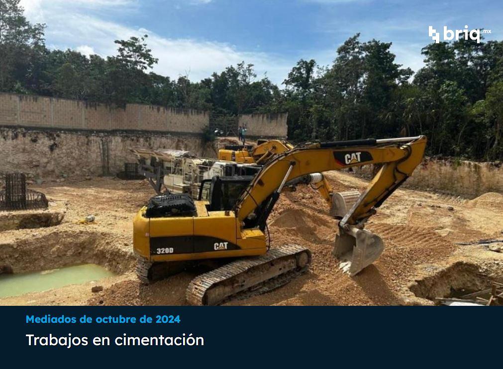 Árvore - Campaña 1 (imagen 3 de 11) | briq.mx