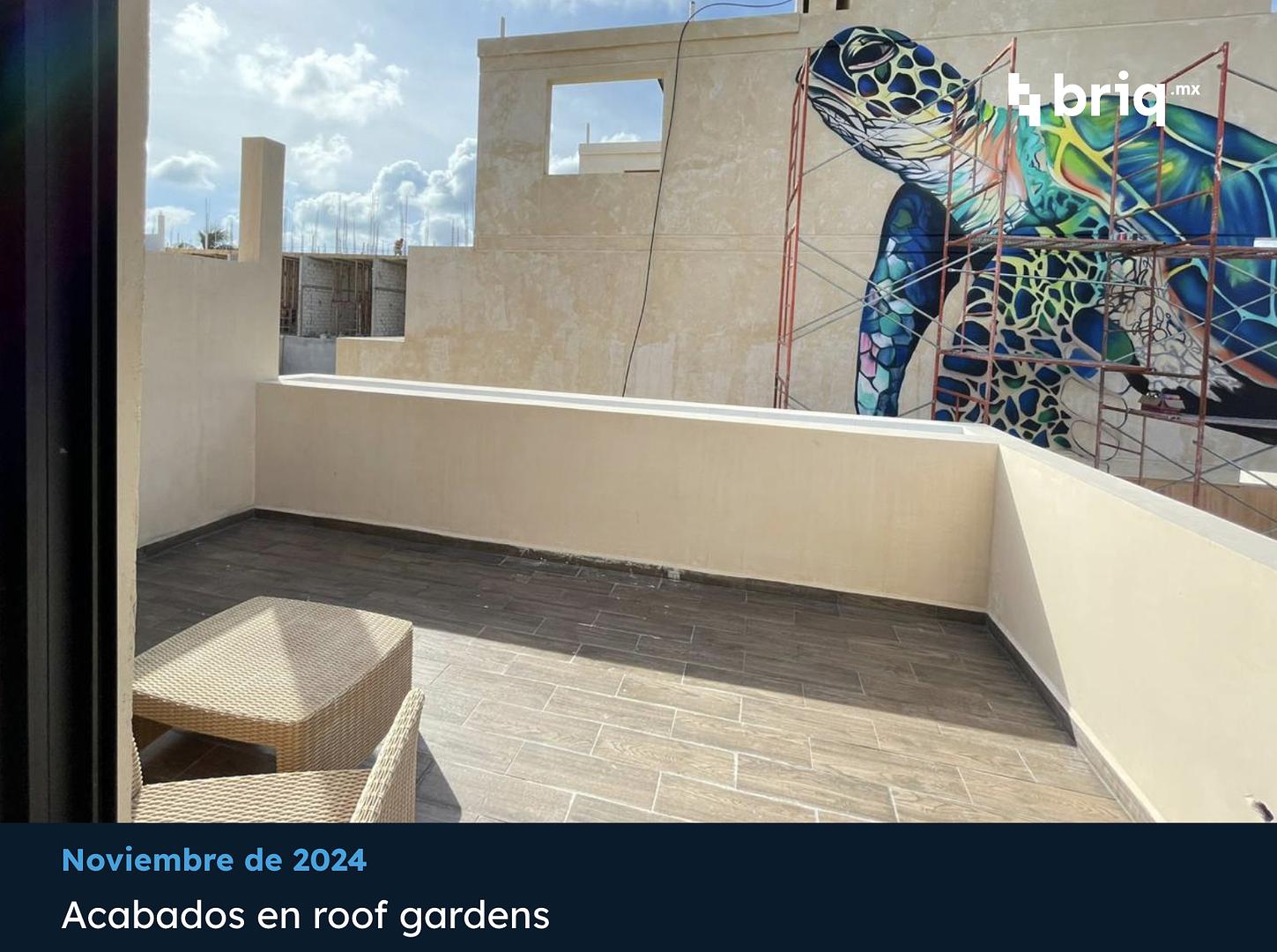 Telchac Amaité - Campaña 8  (imagen 8 de 15) | briq.mx
