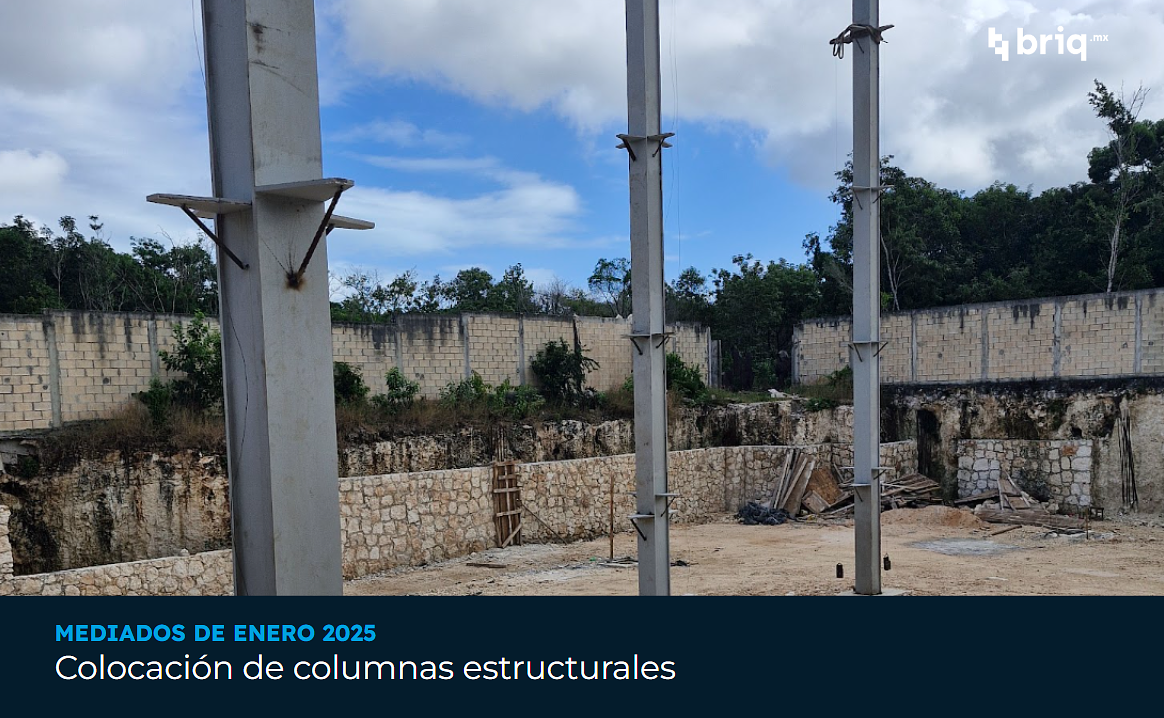 Árvore - Campaña 3 (imagen 11 de 12) | briq.mx