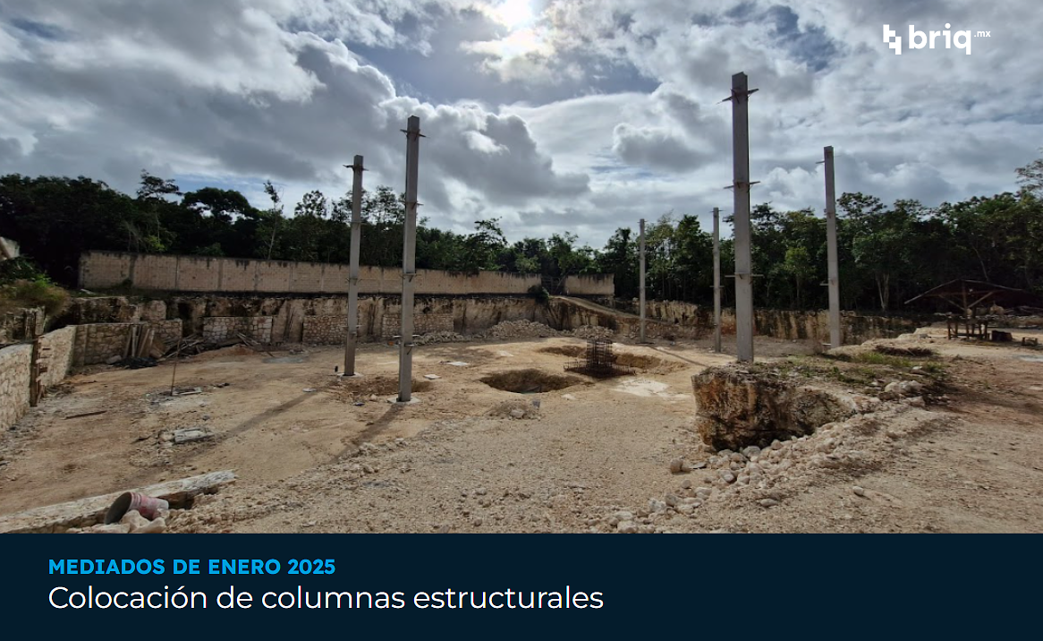 Árvore - Campaña 3 (imagen 10 de 12) | briq.mx