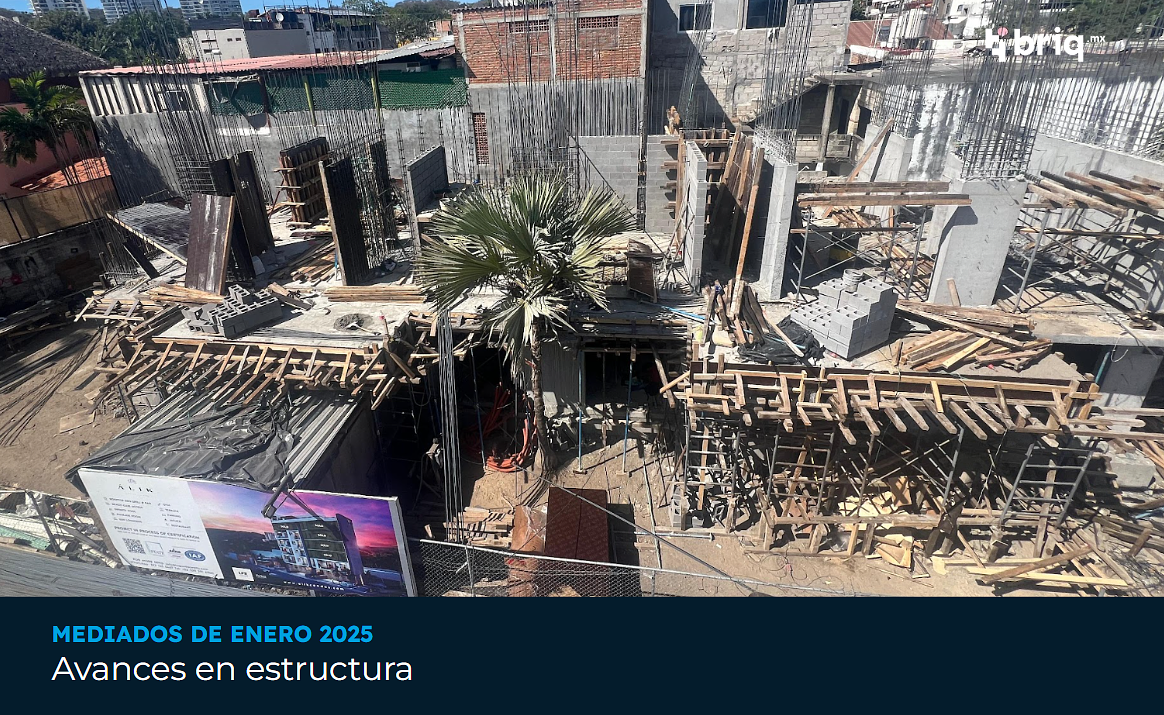 Álik - Campaña 2 (imagen 12 de 12) | briq.mx