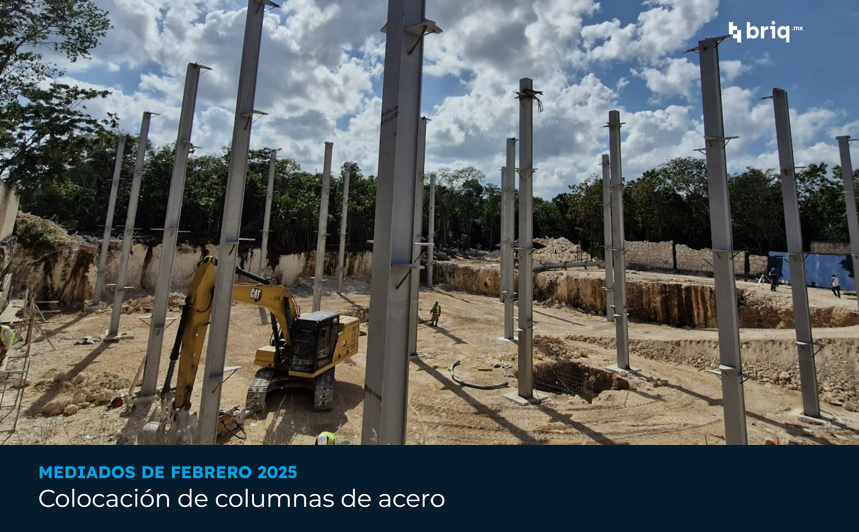 Árvore - Campaña 4 (imagen 11 de 12) | briq.mx