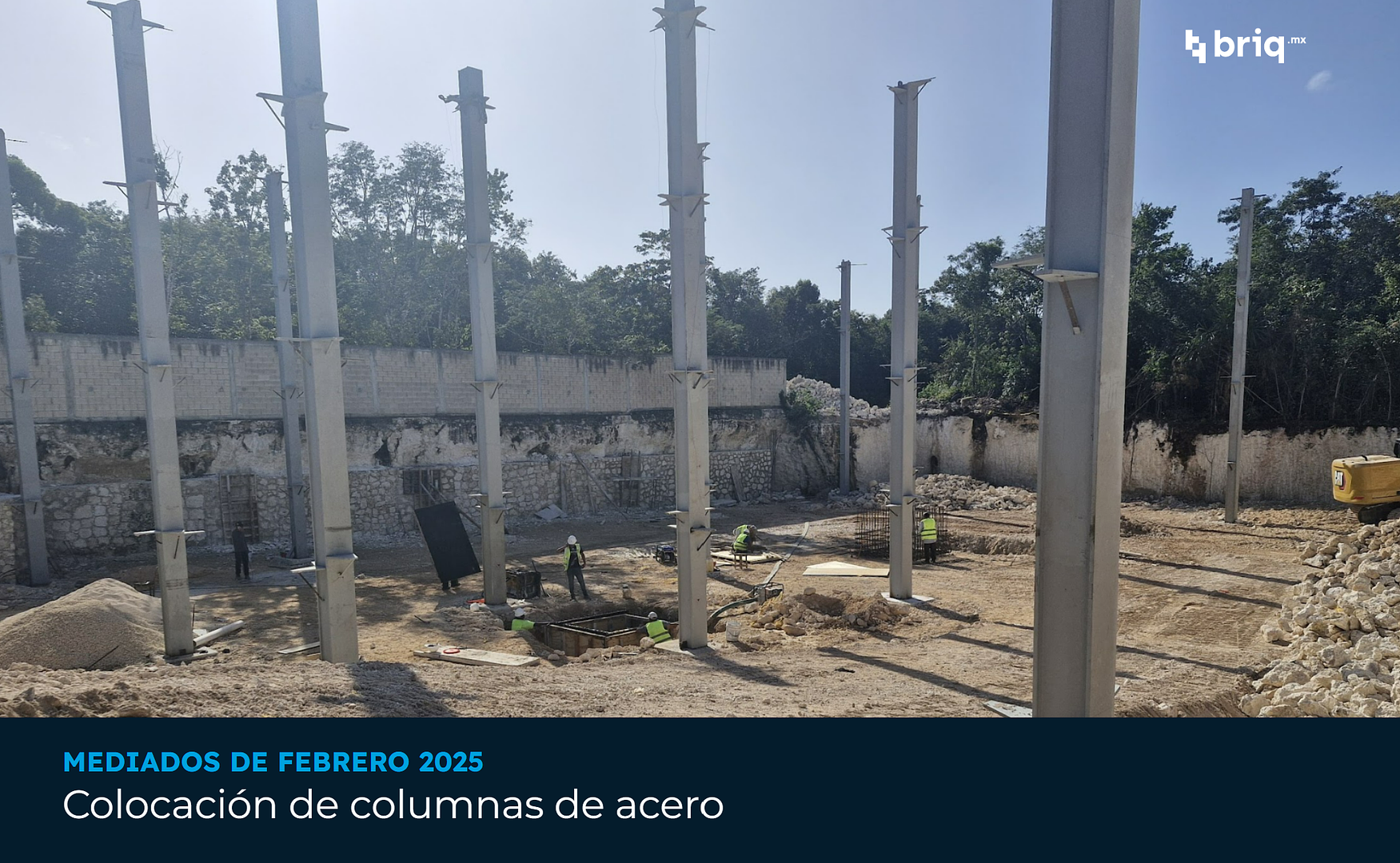 Árvore - Campaña 4 (imagen 12 de 12) | briq.mx
