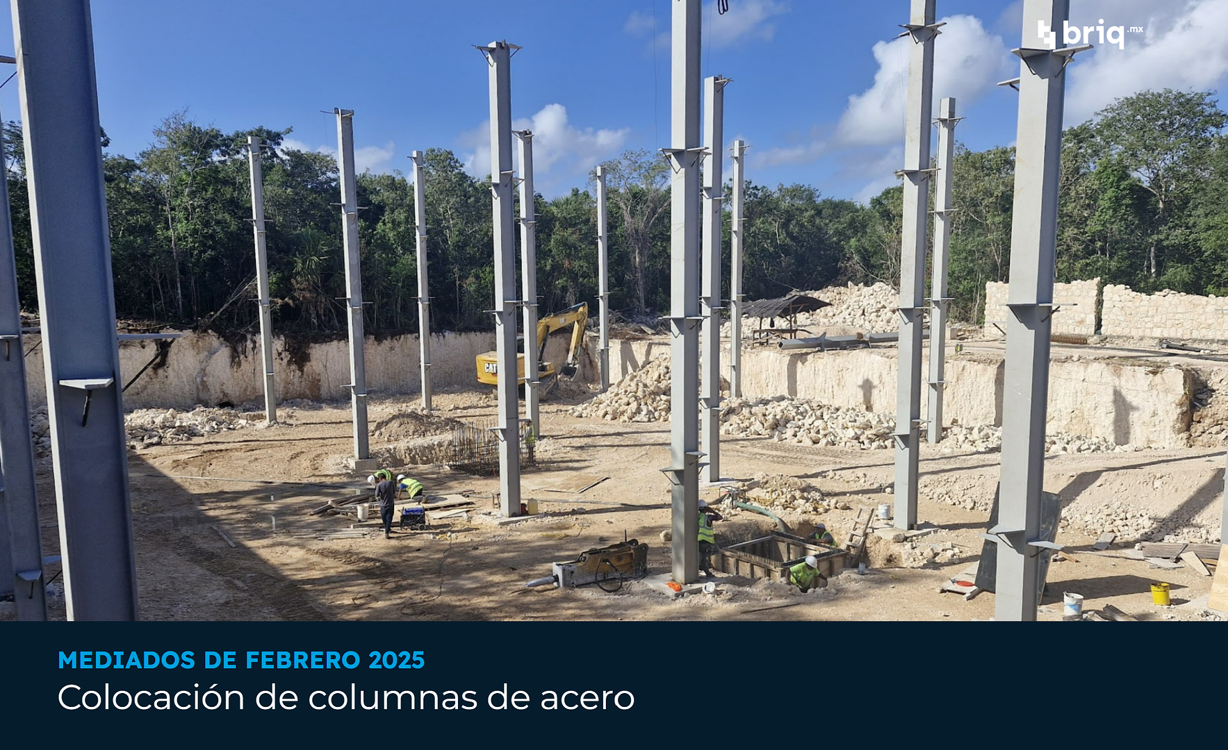 Árvore - Campaña 4 (imagen 10 de 12) | briq.mx
