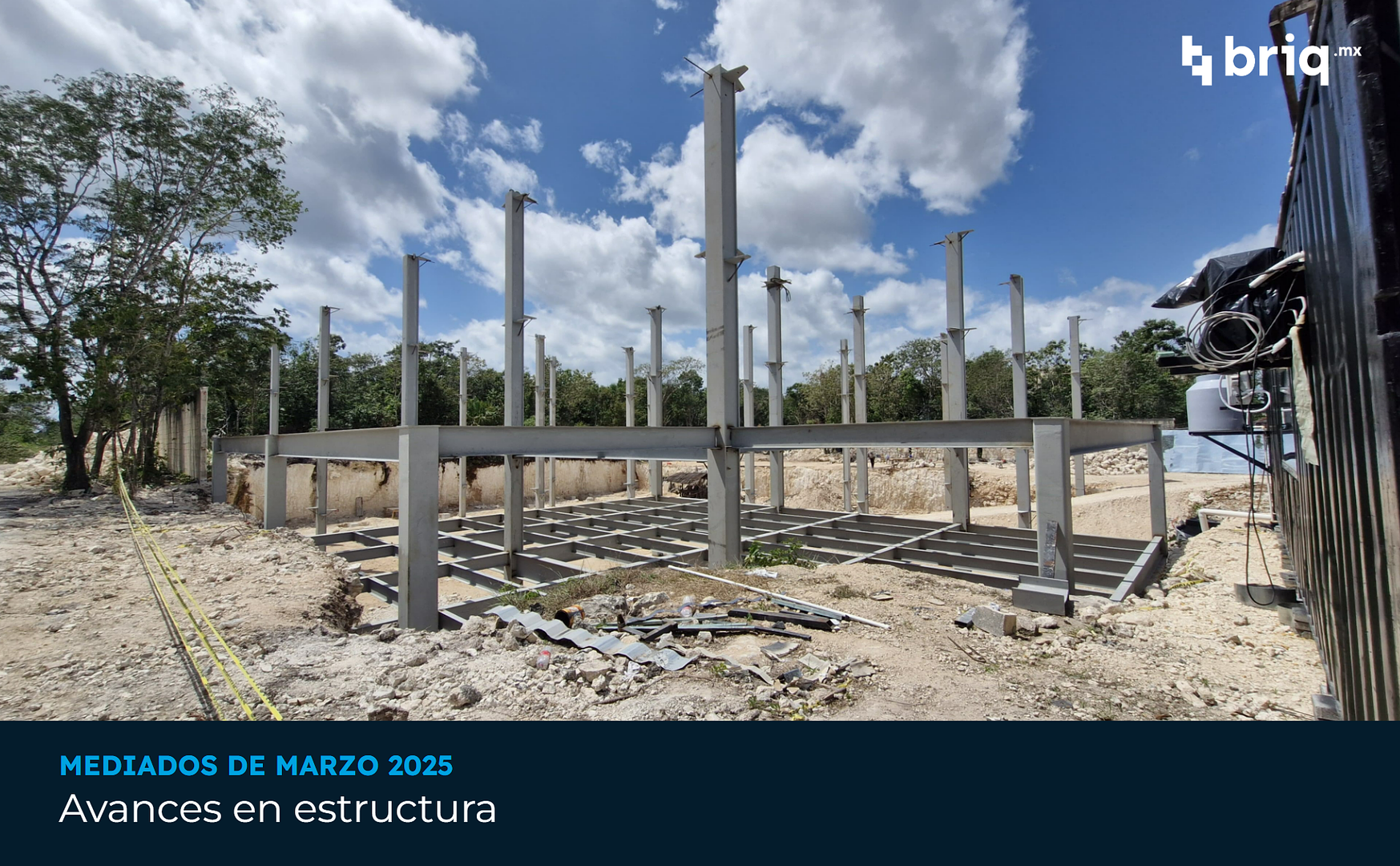 Árvore - Campaña 5 (imagen 7 de 16) | briq.mx