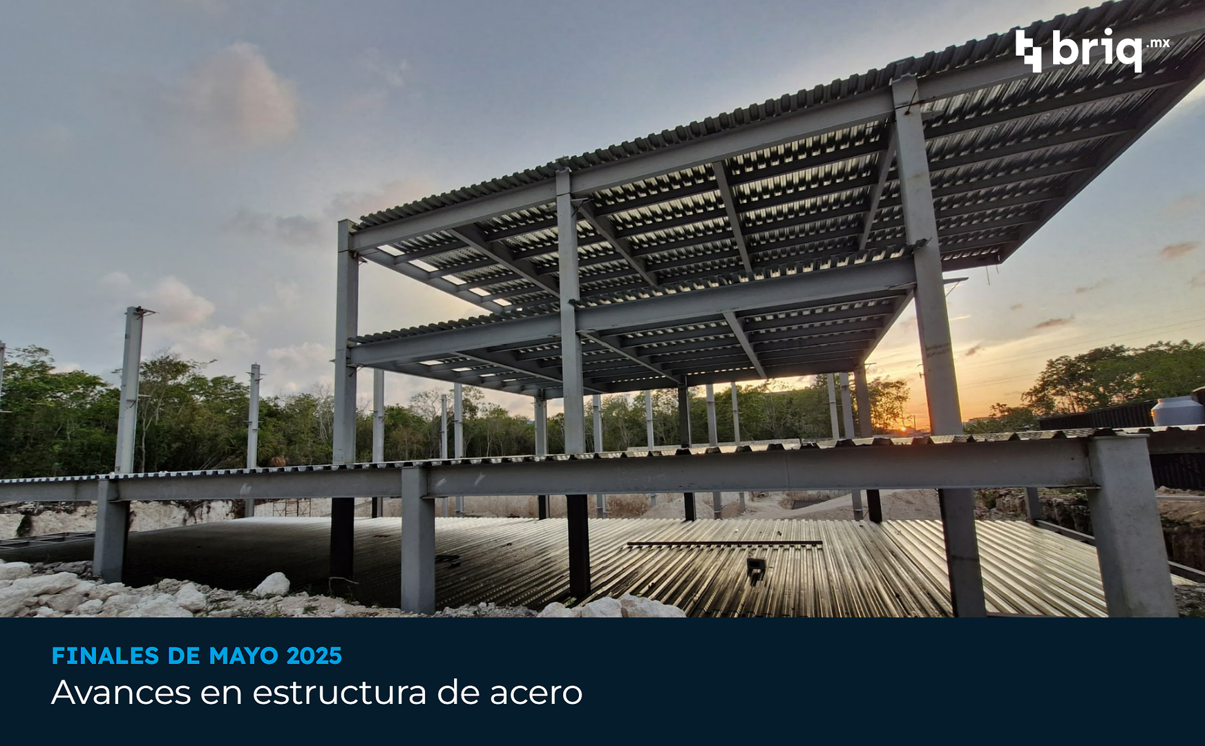 Árvore - Campaña 7 (imagen 3 de 13) | briq.mx