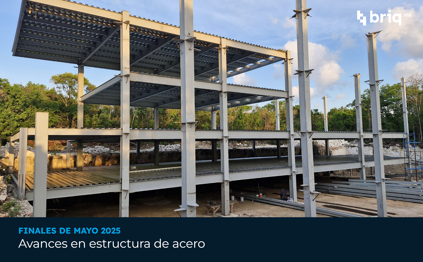 Árvore - Campaña 7 (imagen 2 de 13) | briq.mx
