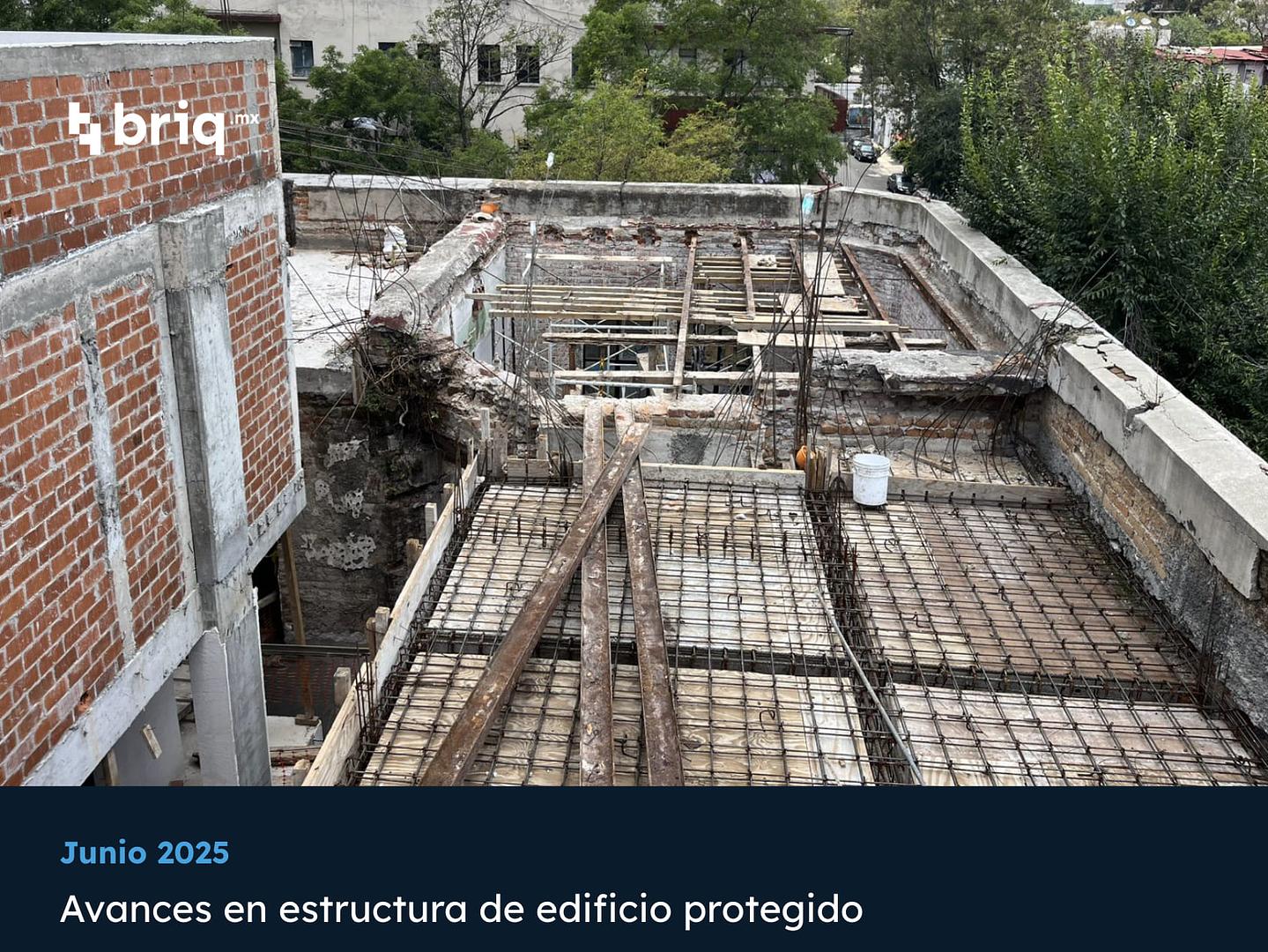 Amado Nervo - Campaña 9 (imagen 6 de 14) | briq.mx