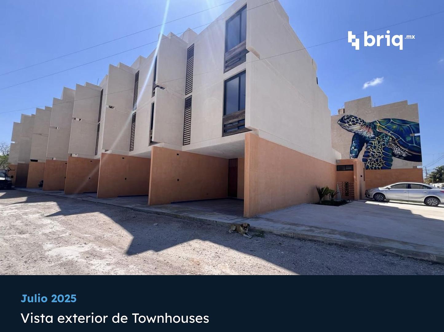 Telchac Amaité - Campaña 13 (imagen 4 de 12) | briq.mx