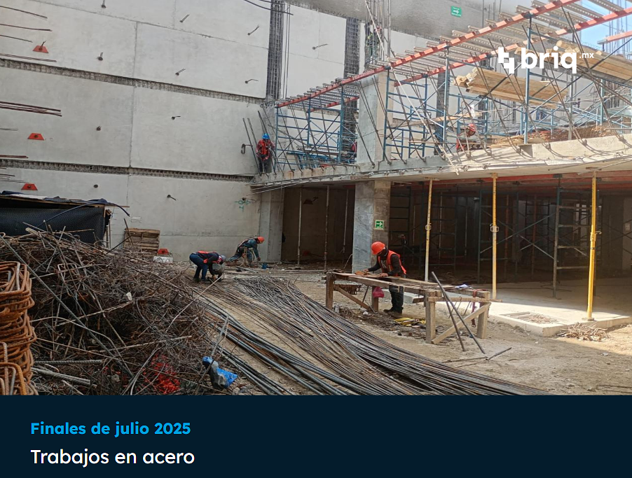 Lázaro PerSe -  Campaña 4 (imagen 5 de 17) | briq.mx