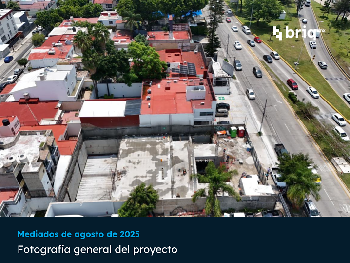Lázaro PerSe - Campaña 5 (imagen 2 de 16) | briq.mx