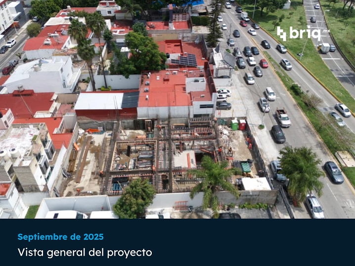Lázaro PerSe - Campaña 6 (imagen 3 de 17) | briq.mx
