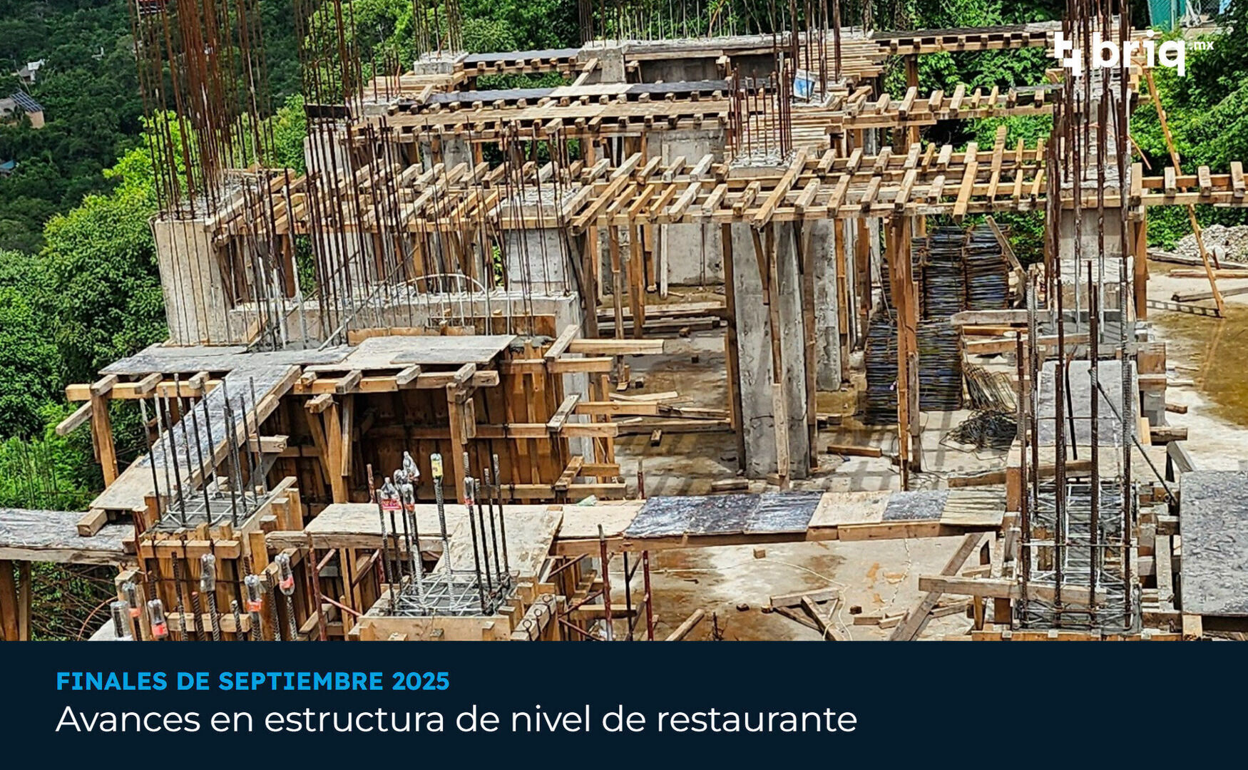 Tuyakuá - Campaña 5 (imagen 3 de 11) | briq.mx
