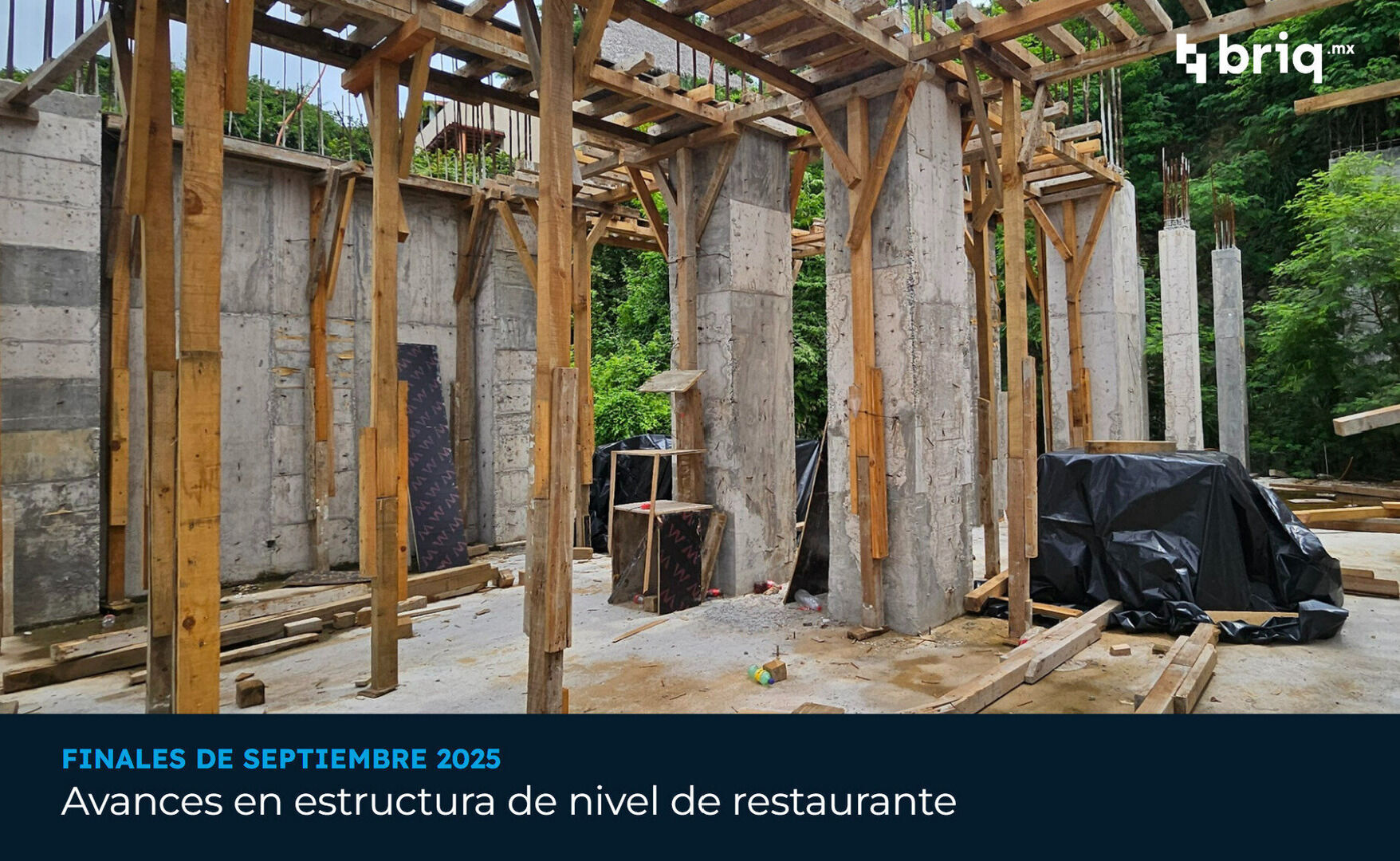 Tuyakuá - Campaña 5 (imagen 6 de 11) | briq.mx