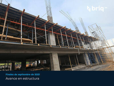 Lázaro PerSe - Campaña 7 | briq.mx