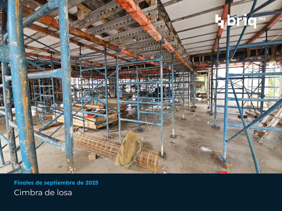 Lázaro PerSe - Campaña 7 (imagen 3 de 16) | briq.mx