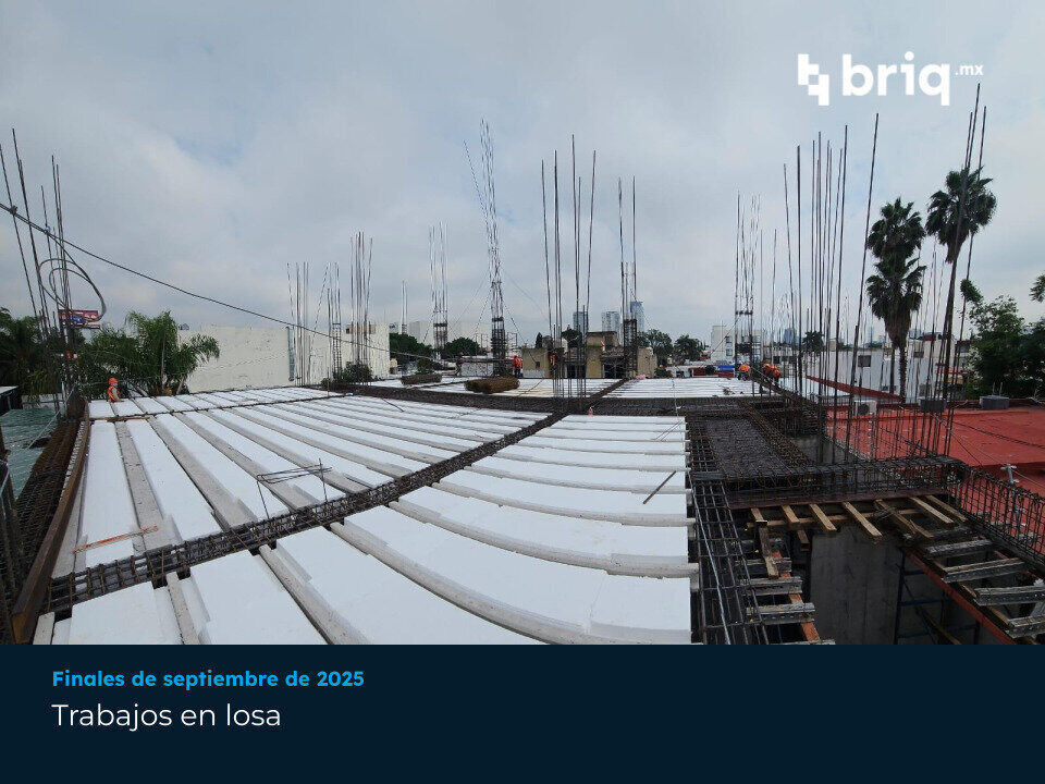 Lázaro PerSe - Campaña 7 (imagen 4 de 16) | briq.mx