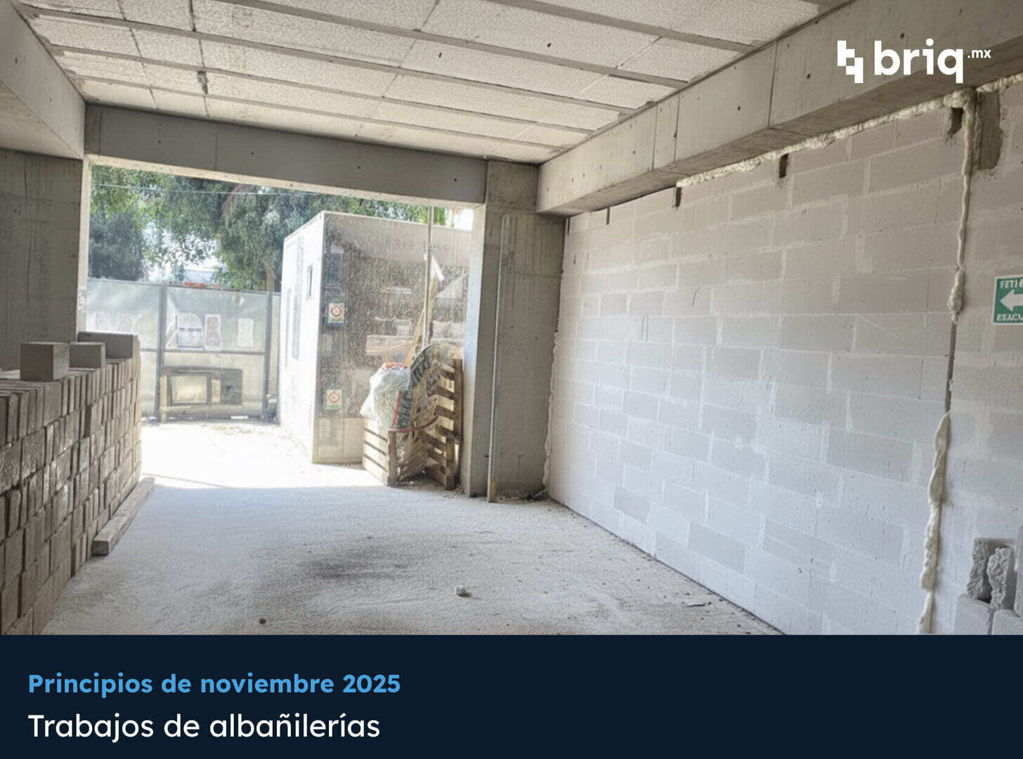 Lázaro PerSe - Campaña 10 (imagen 4 de 17) | briq.mx