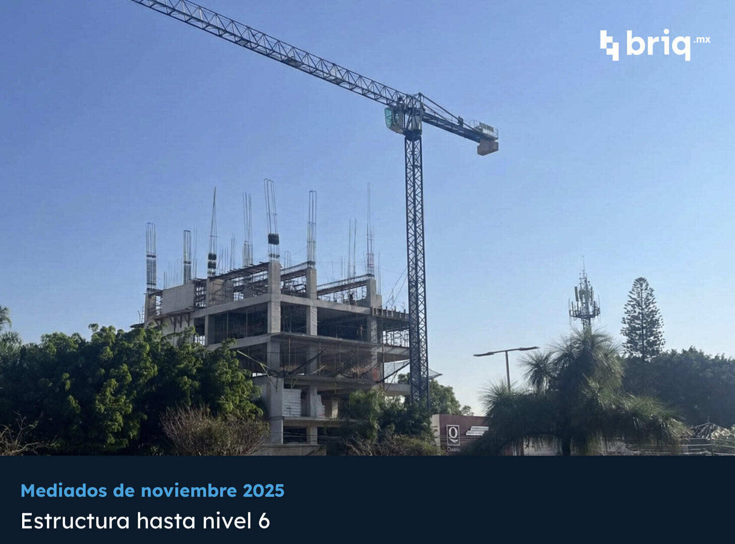Lázaro PerSe - Campaña 11 (imagen 3 de 16) | briq.mx