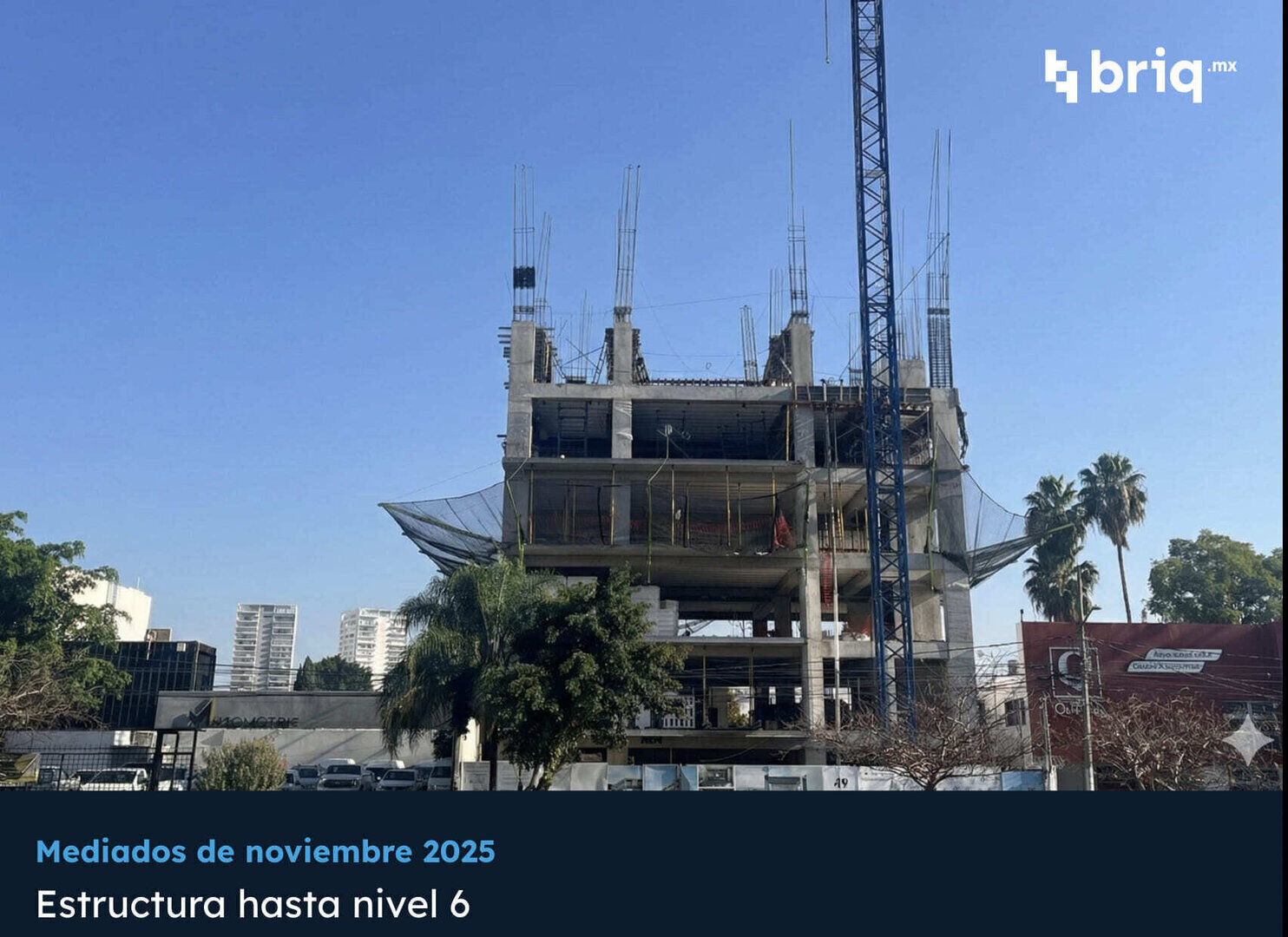 Lázaro PerSe - Campaña 11 (imagen 2 de 16) | briq.mx