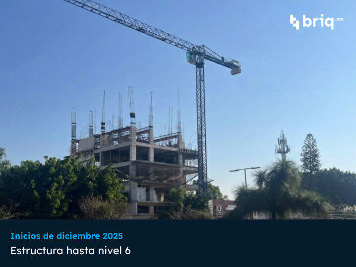 Lázaro PerSe - Campaña 12 (imagen 4 de 17) | briq.mx