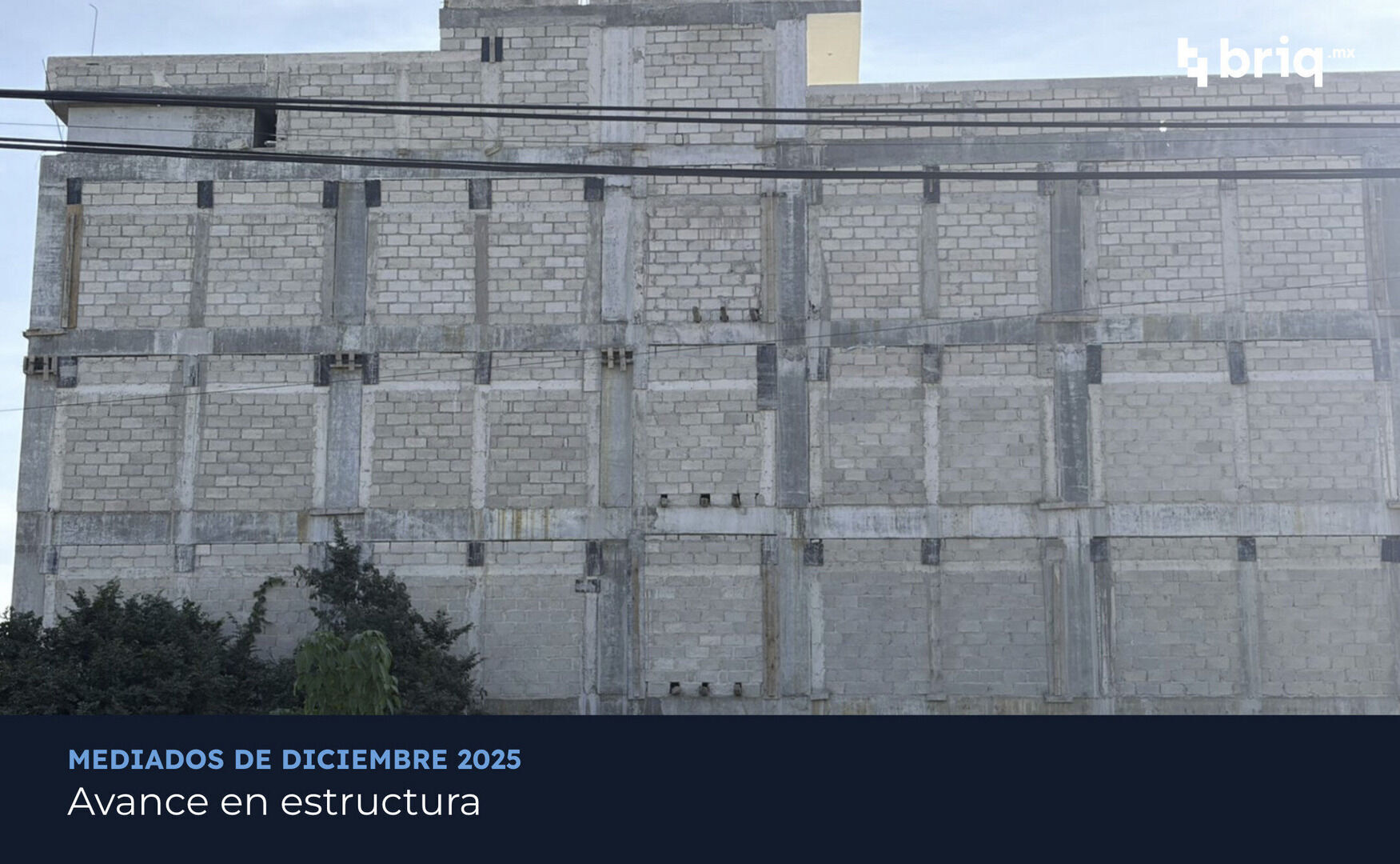 Hacienda Aldama - Campaña 3 (imagen 4 de 16) | briq.mx