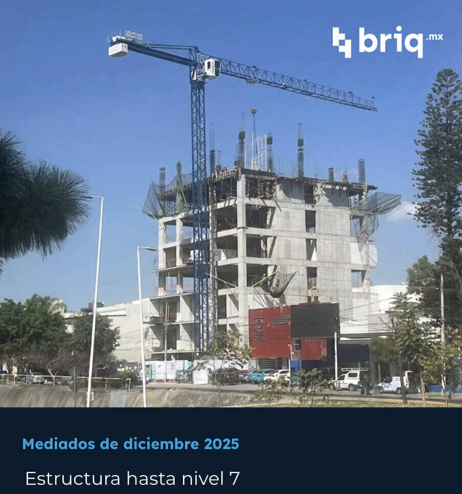 Lázaro PerSe - Campaña 13 (imagen 2 de 17) | briq.mx