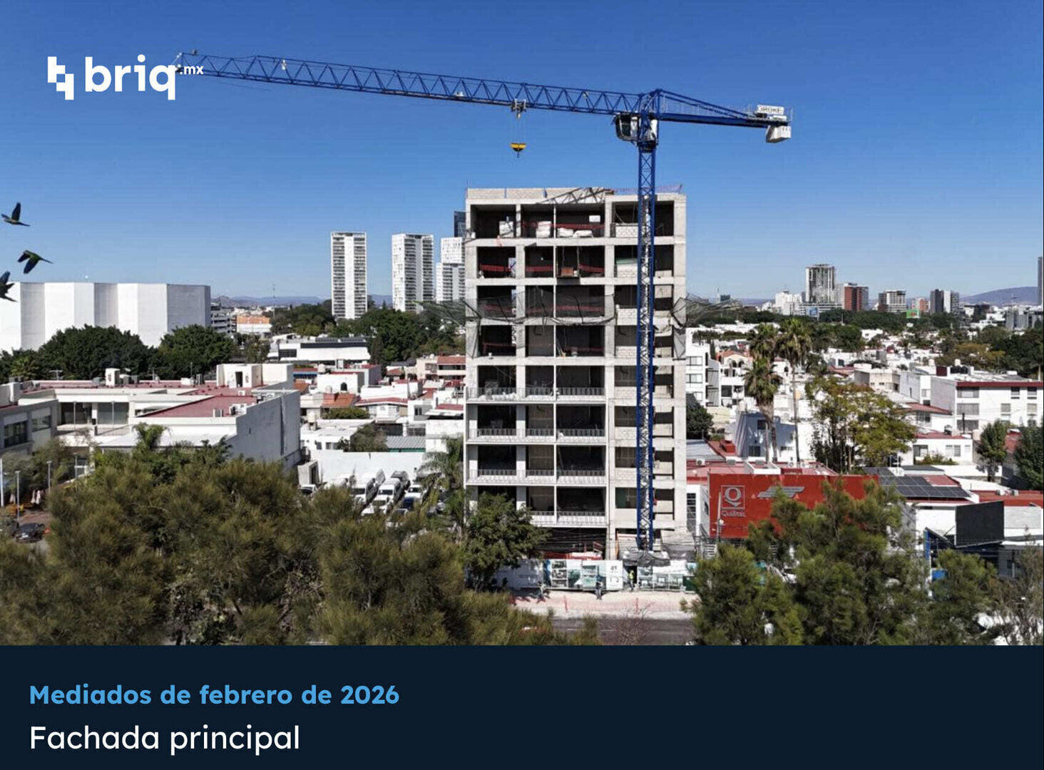 Lázaro PerSe - Campaña 16 (imagen 3 de 18) | briq.mx