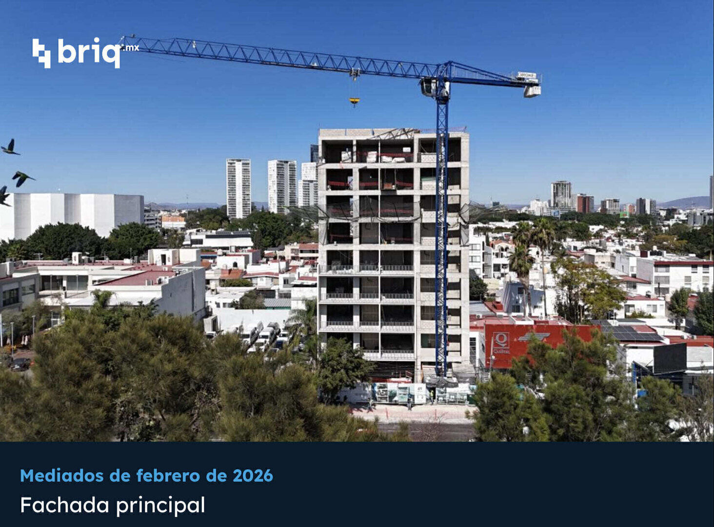 Lázaro PerSe - Campaña 18 (imagen 3 de 18) | briq.mx