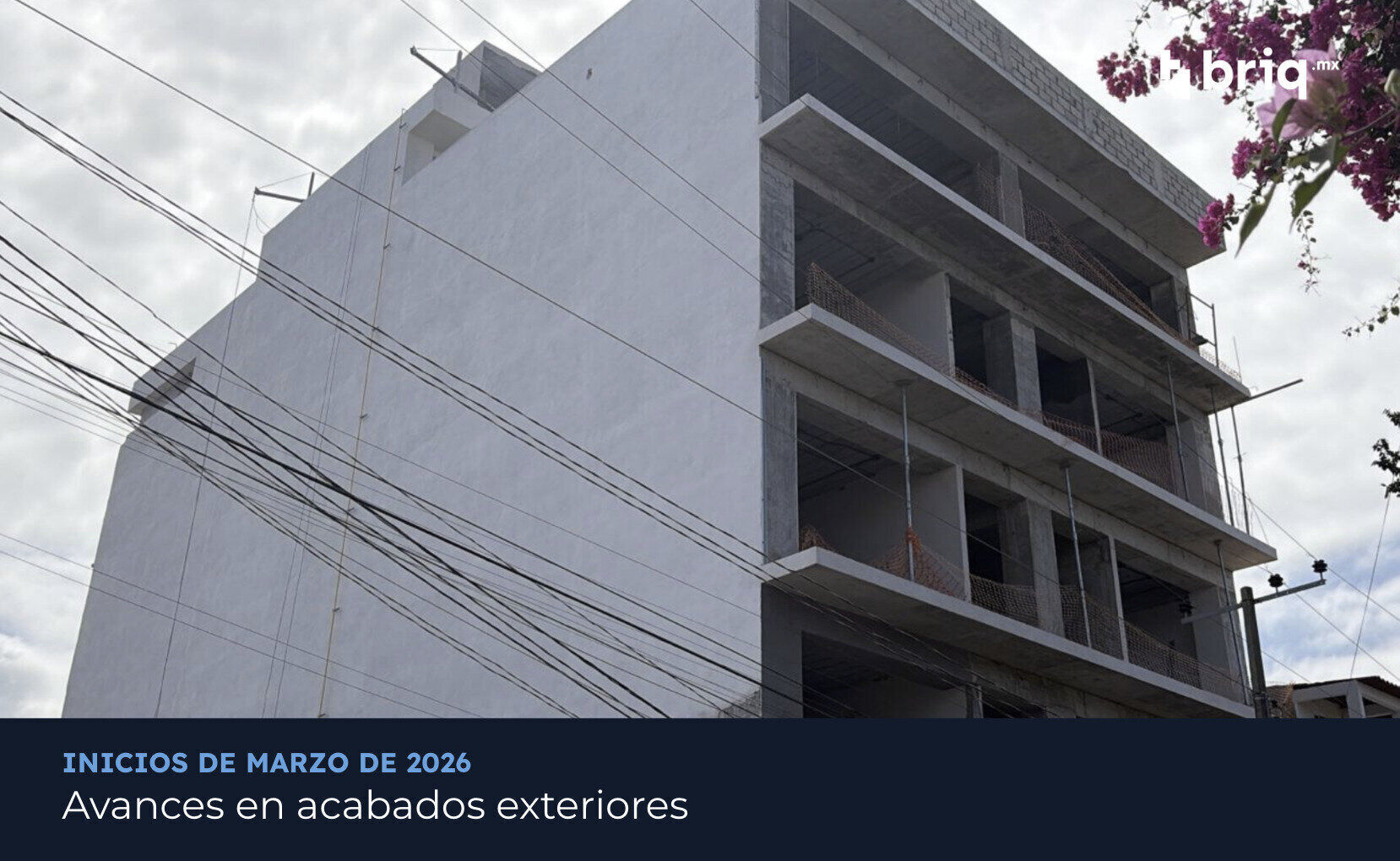 Hacienda Aldama - Campaña 5 (imagen 3 de 13) | briq.mx