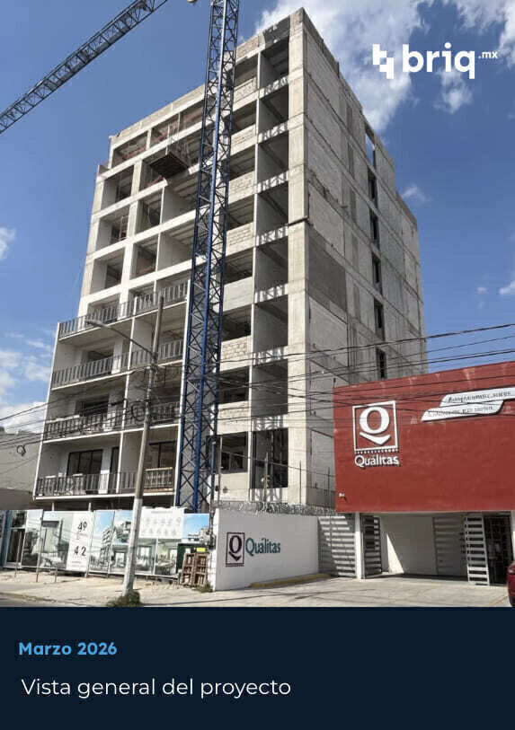 Lázaro PerSe - Campaña 21 (imagen 2 de 17) | briq.mx