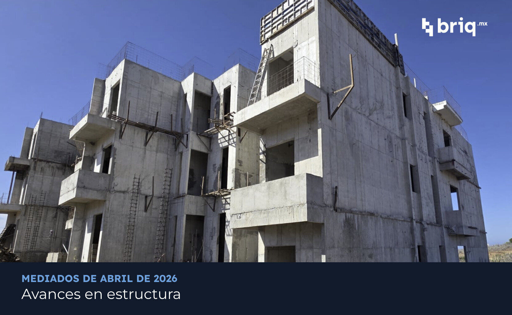 Cerritos - Campaña 3 (imagen 2 de 18) | briq.mx