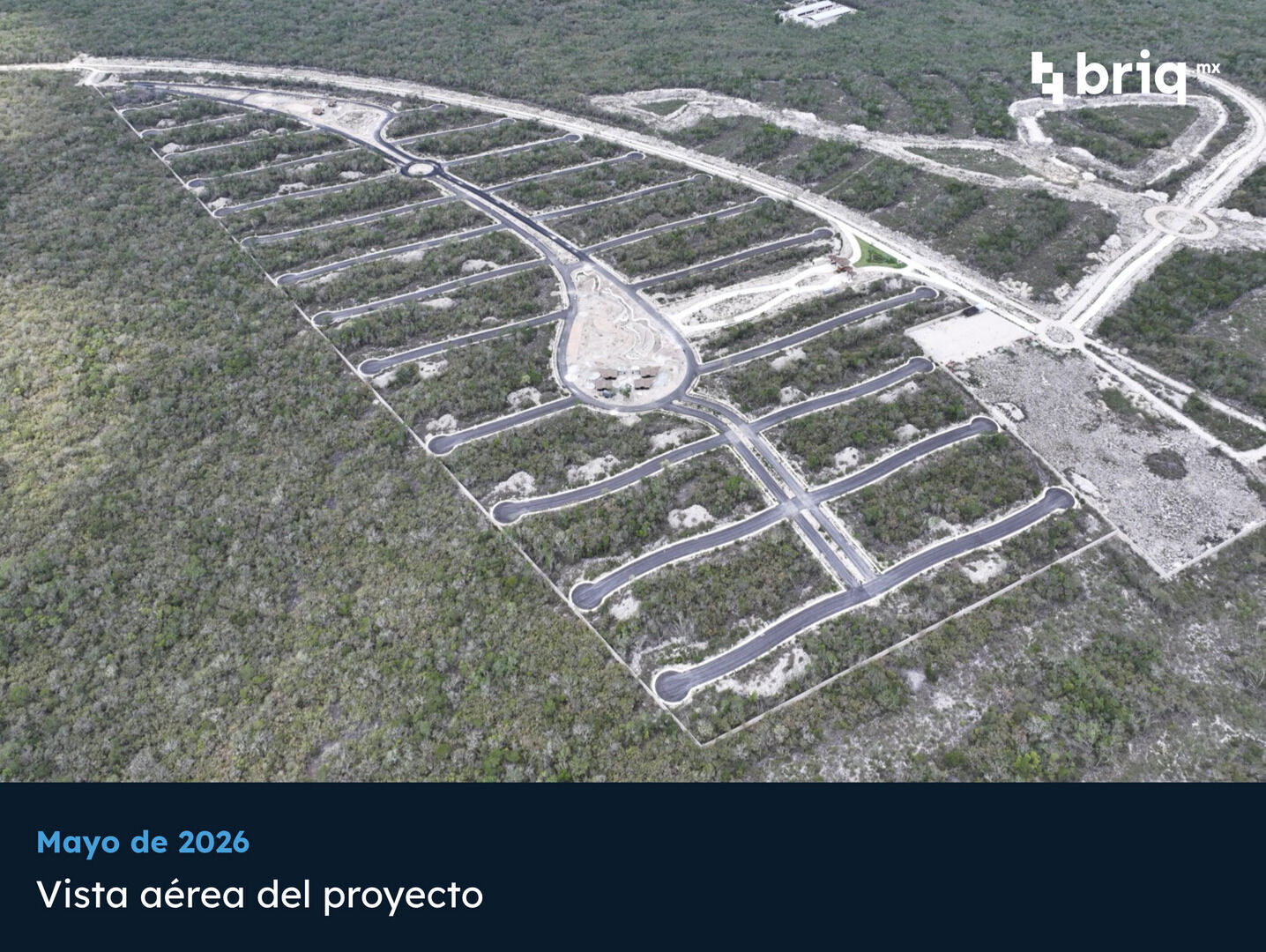 Gran Nikté - Campaña 1 (imagen 12 de 14) | briq.mx