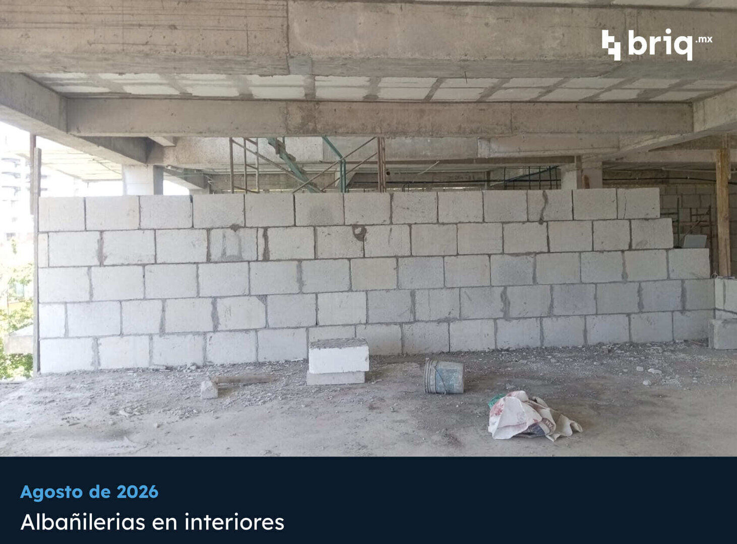 Main Street Bucerías - Campaña 5 (imagen 5 de 13) | briq.mx
