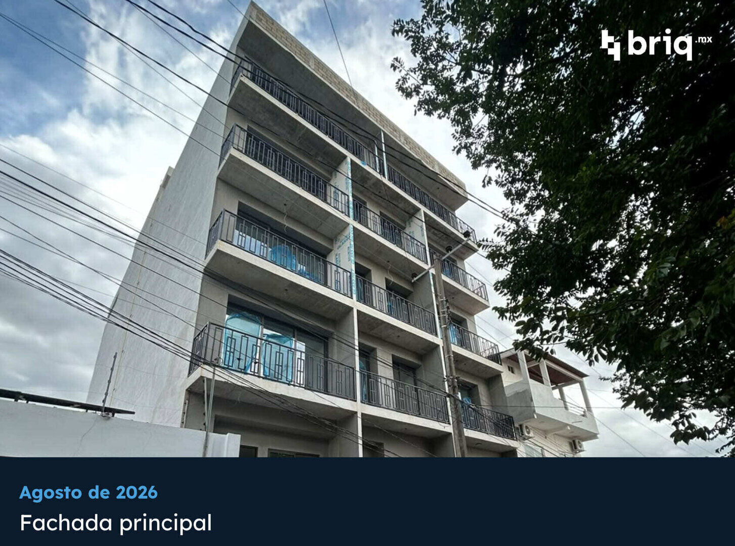Hacienda Aldama - Campaña 8 (imagen 3 de 13) | briq.mx