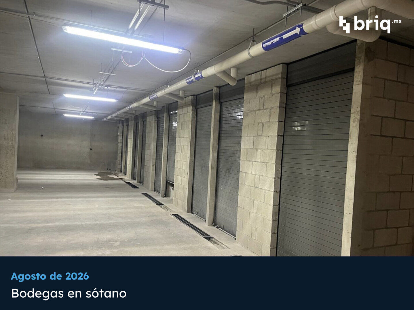 Lázaro PerSe - Campaña 27 (imagen 6 de 18) | briq.mx