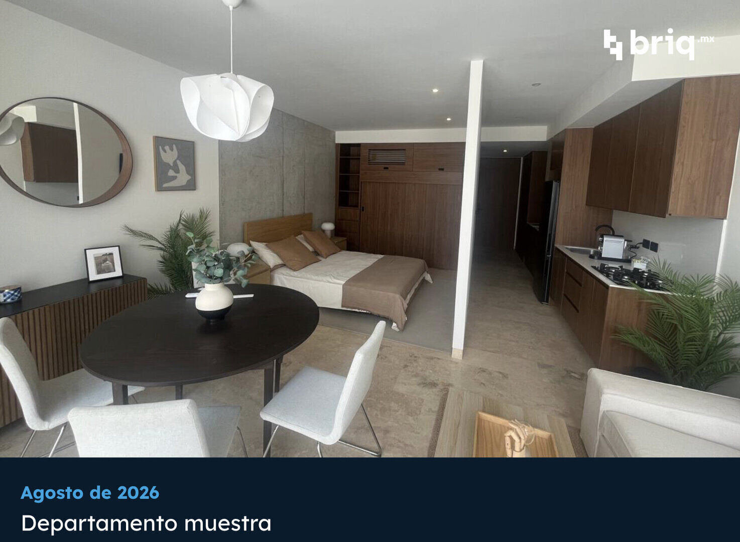 Lázaro PerSe - Campaña 27 (imagen 4 de 18) | briq.mx