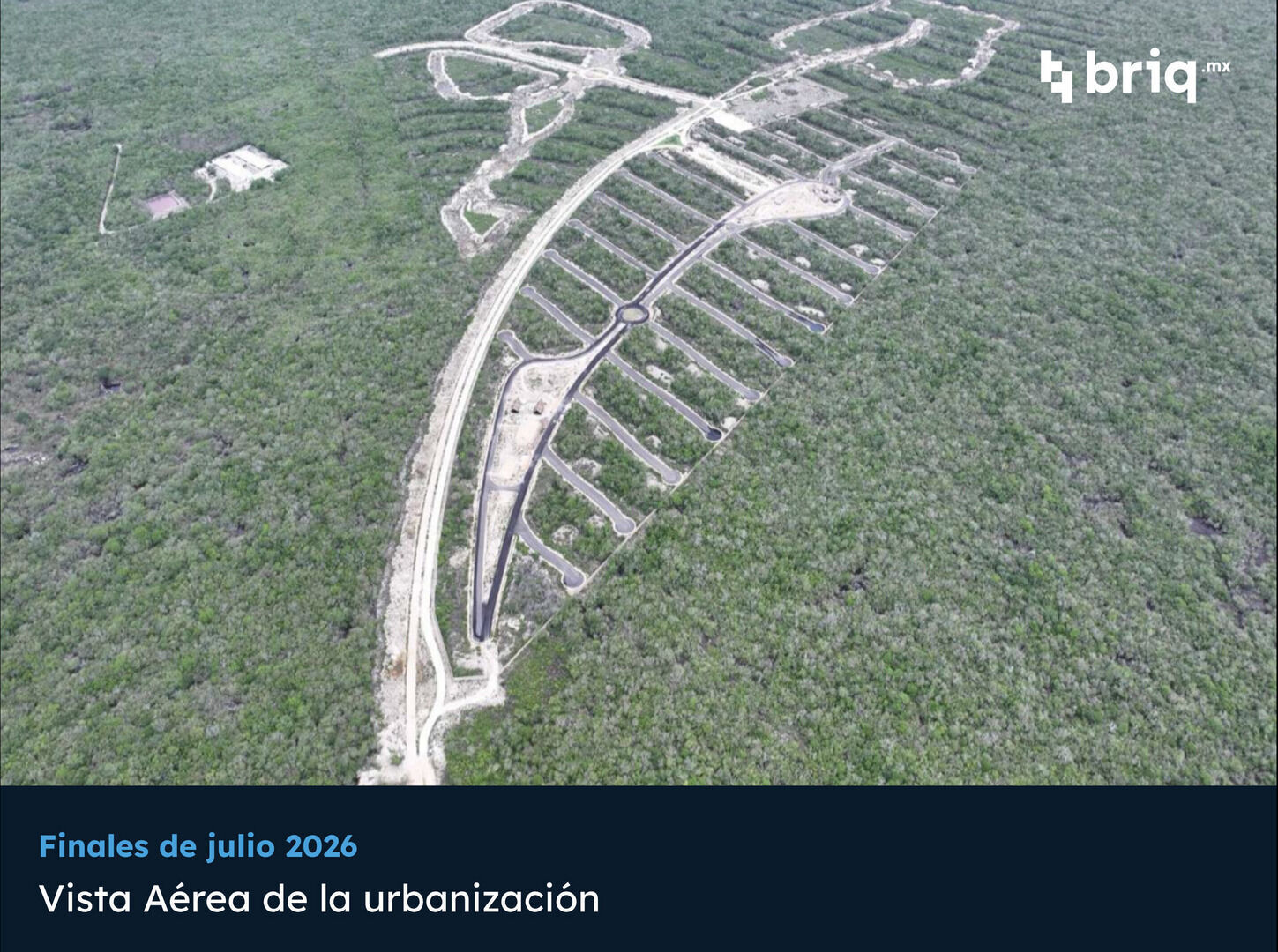 Gran Nikté - Campaña 3 (imagen 3 de 13) | briq.mx