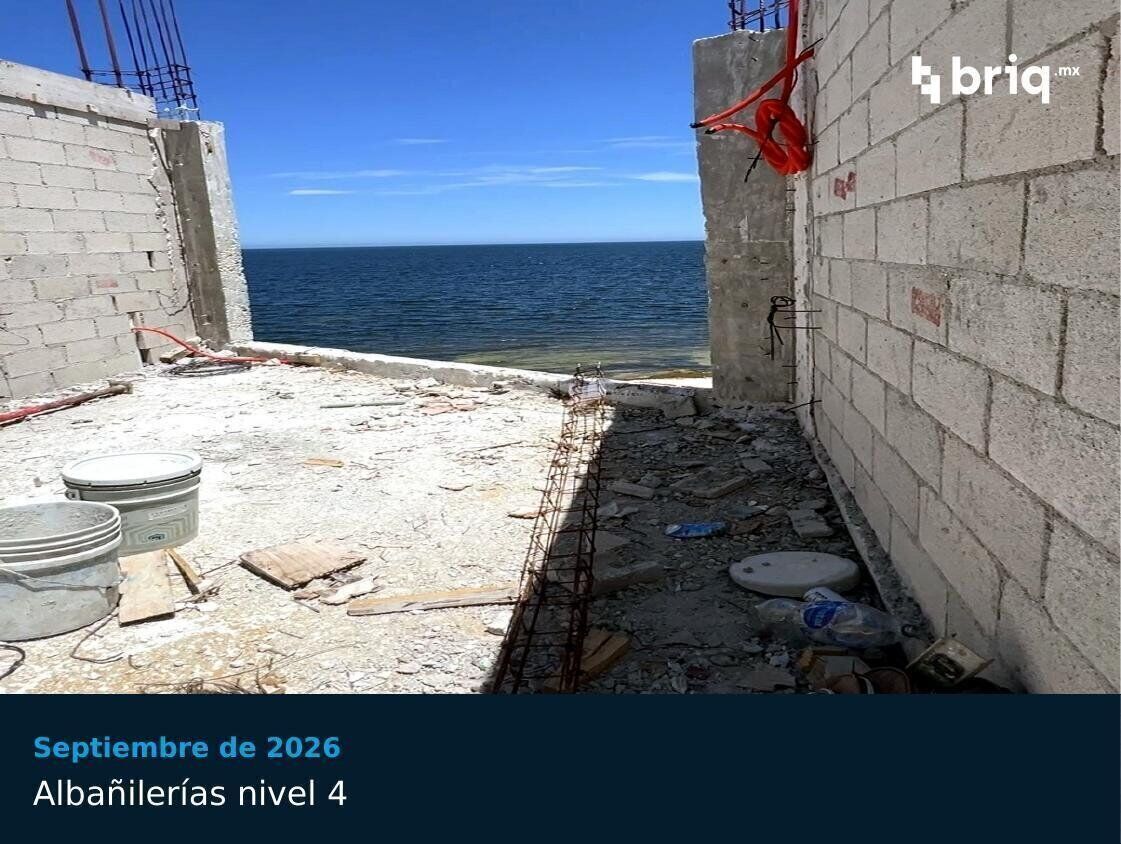 Mar de Miel - Campaña 7 (imagen 4 de 13) | briq.mx