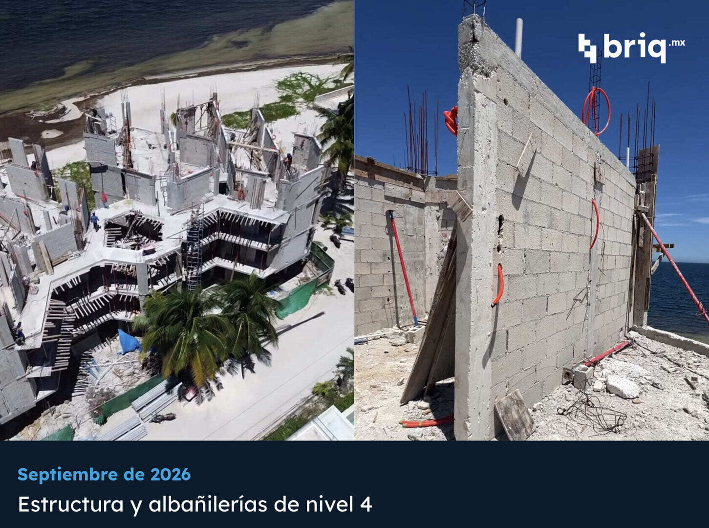 Mar de Miel - Campaña 7 (imagen 3 de 13) | briq.mx