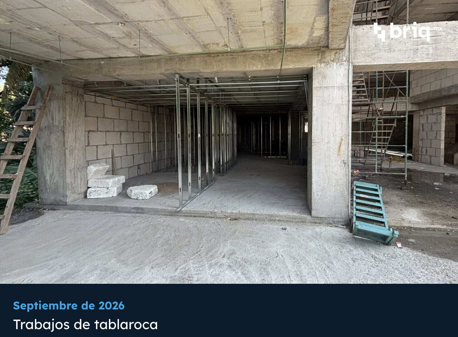 Main Street Bucerías - Campaña 6 (imagen 4 de 15) | briq.mx